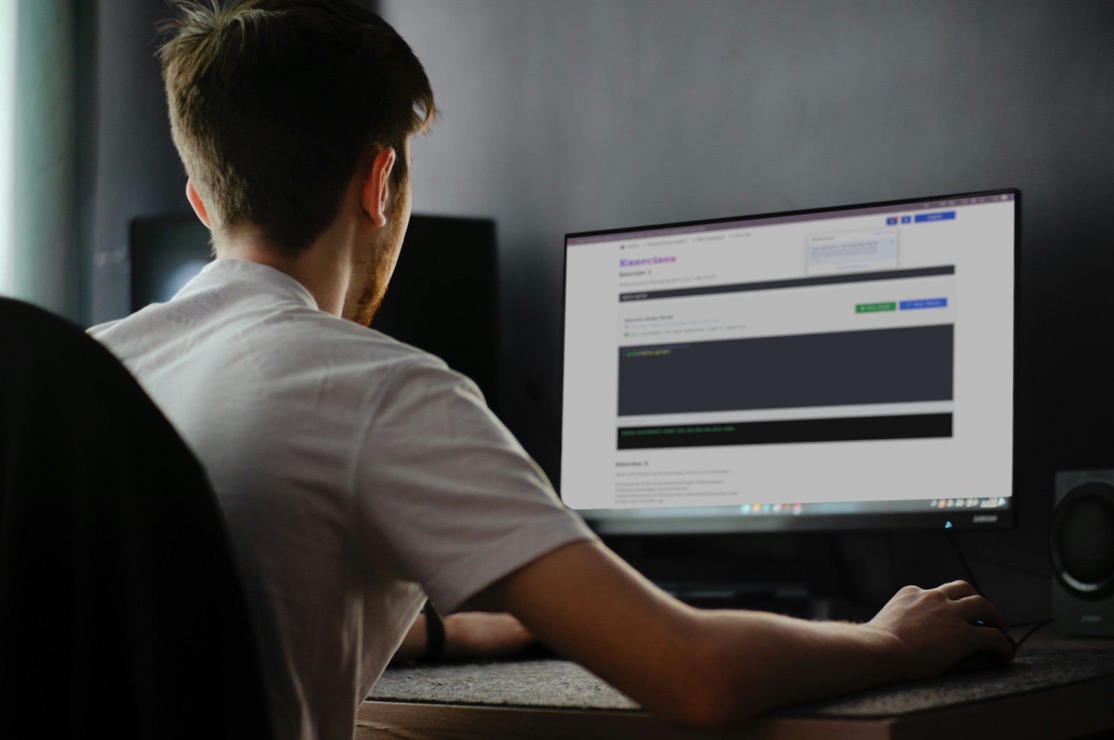 A student working through a Python programming exercise directly in the browser, no software installed.